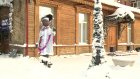 «Дама с собачкой» на ул. Володарского превратилась в Снегурочку