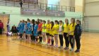 Завершен региональный этап всероссийского проекта «Мини-футбол - в школу»