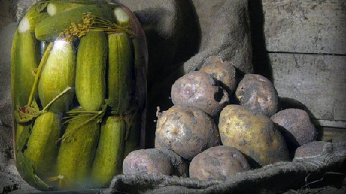 Из погреба в Кузнецке украли масло, картошку и соленья