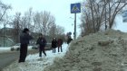 Сотрудники ГИБДД проконтролировали ситуацию с вывозом снега с улиц