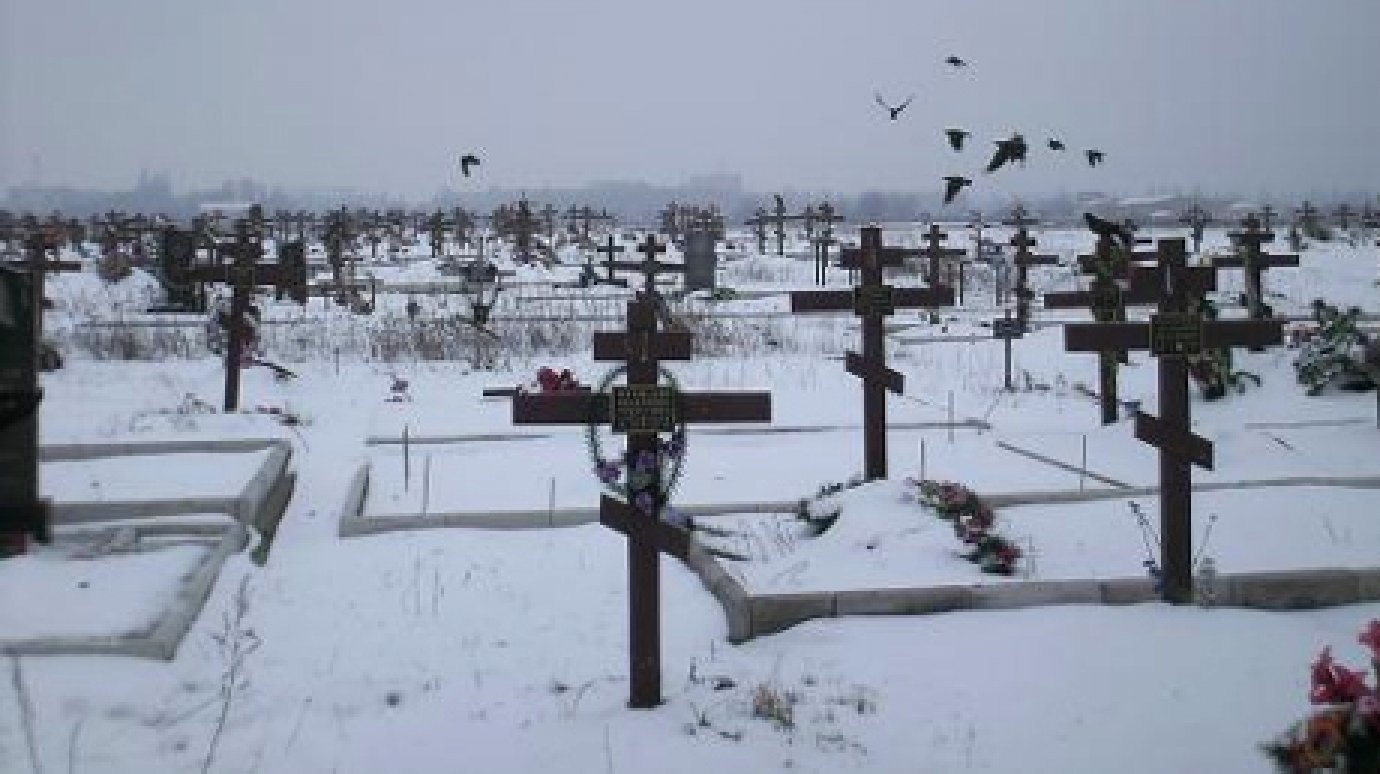 Двое жителей Сердобского района украли с кладбища ограду