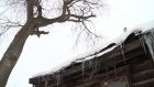 Жители дома на Урицкого боятся падения старого дерева