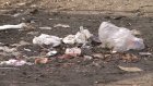 Жители улицы Литвинова выбрасывают мусор мимо контейнеров