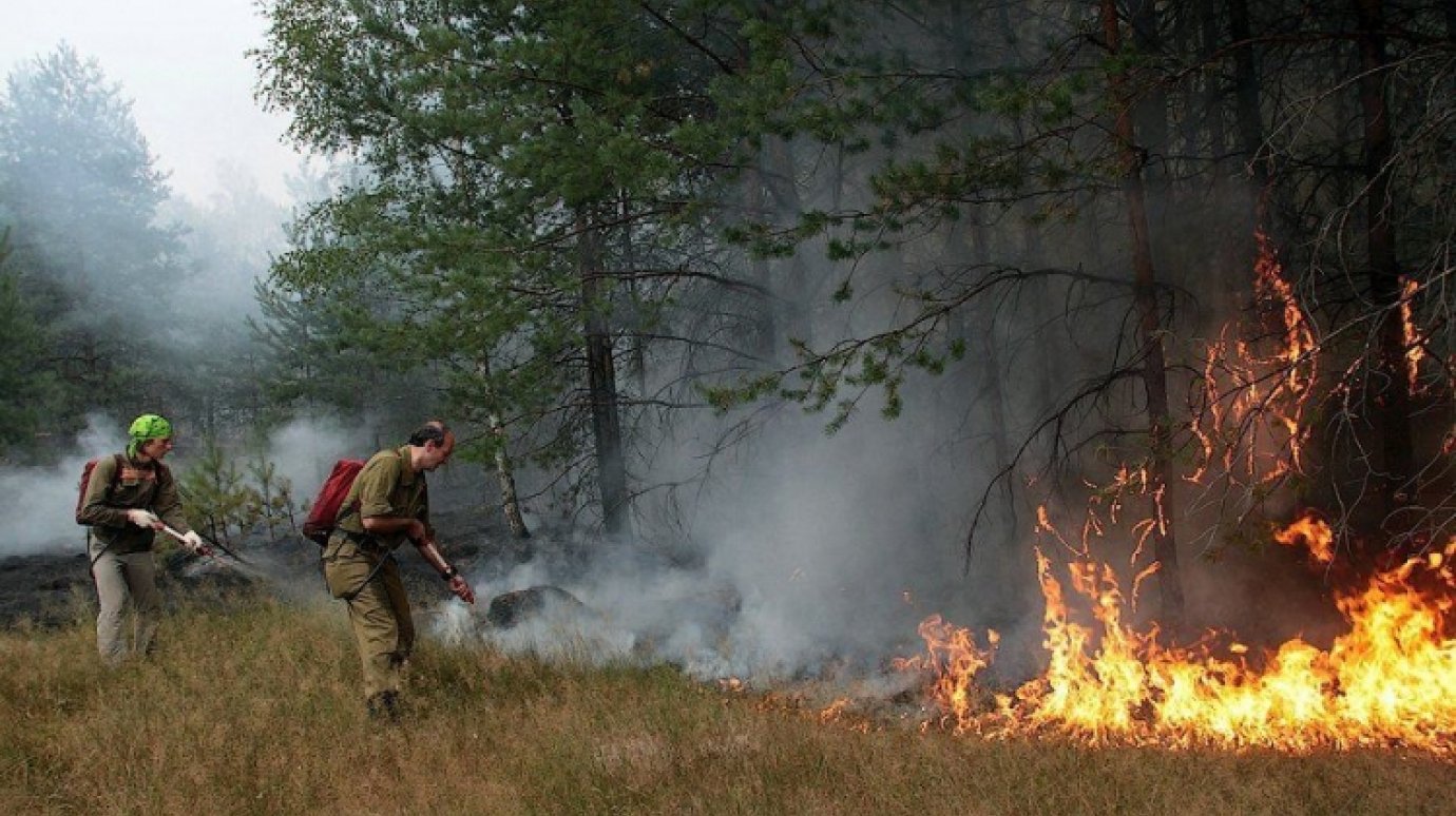 В Пензенской области потушены первые лесные пожары