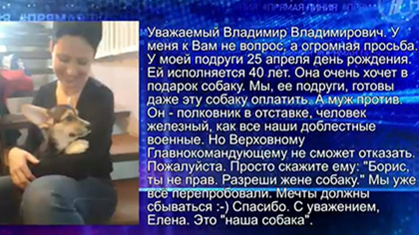 Полковник Борис по совету Путина купил жене собаку