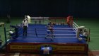 150 спортсменов встретились на соревнованиях по боксу в Пензе