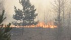 В майские праздники в регионе произошло 7 лесных пожаров