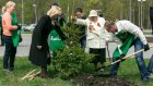 Участники «Зеленого субботника» заложили сквер у «Дизель-Арены»