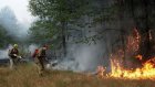 Министр попросил граждан сообщать о лесных пожарах по телефону