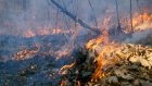В Бурятии за пожары привлечены к ответственности 182 человека