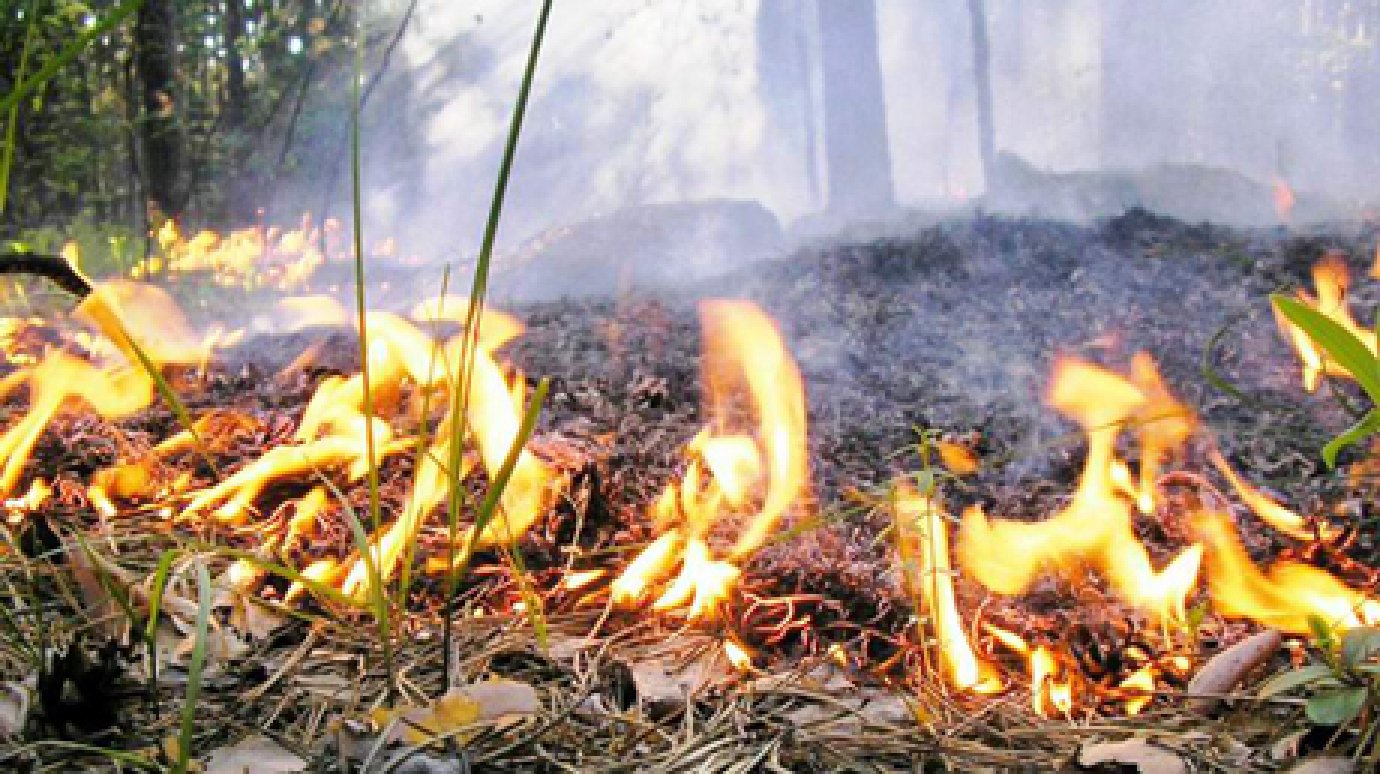 В Пензенской области ожидается чрезвычайная пожарная опасность