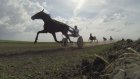 На новом ипподроме в селе Решетино состоялись конные состязания