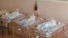 12 июля роддом областной детской больницы закроется на  дезинфекцию