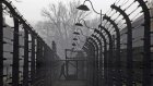 Учеников элитной школы осудили за кражу из Освенцима