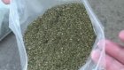 У жителя Сердобска изъято 2 кг марихуаны