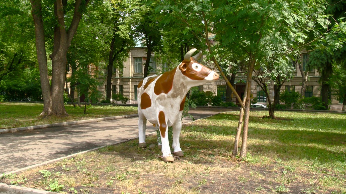Пензенцы недовольны фигурами животных в Лермонтовском сквере
