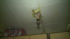 Жители дома на Бийской третий год живут без света из-за дырявой крыши