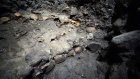 В Мехико откопали стену из человеческих черепов