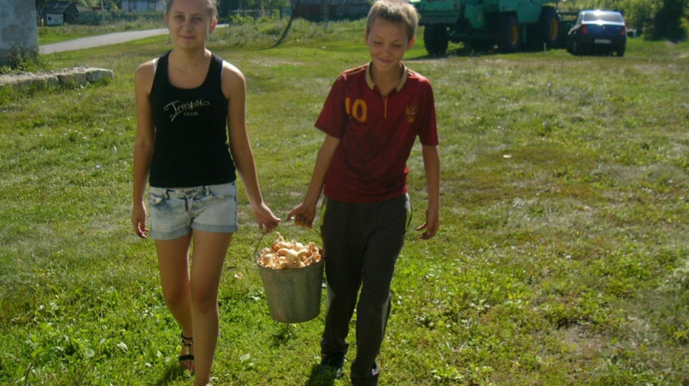Башмаковские ученики вырастили на пришкольных участках 3 500 кг лука