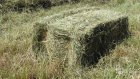 В Белинском районе раскрыта кража 600 килограммов сена