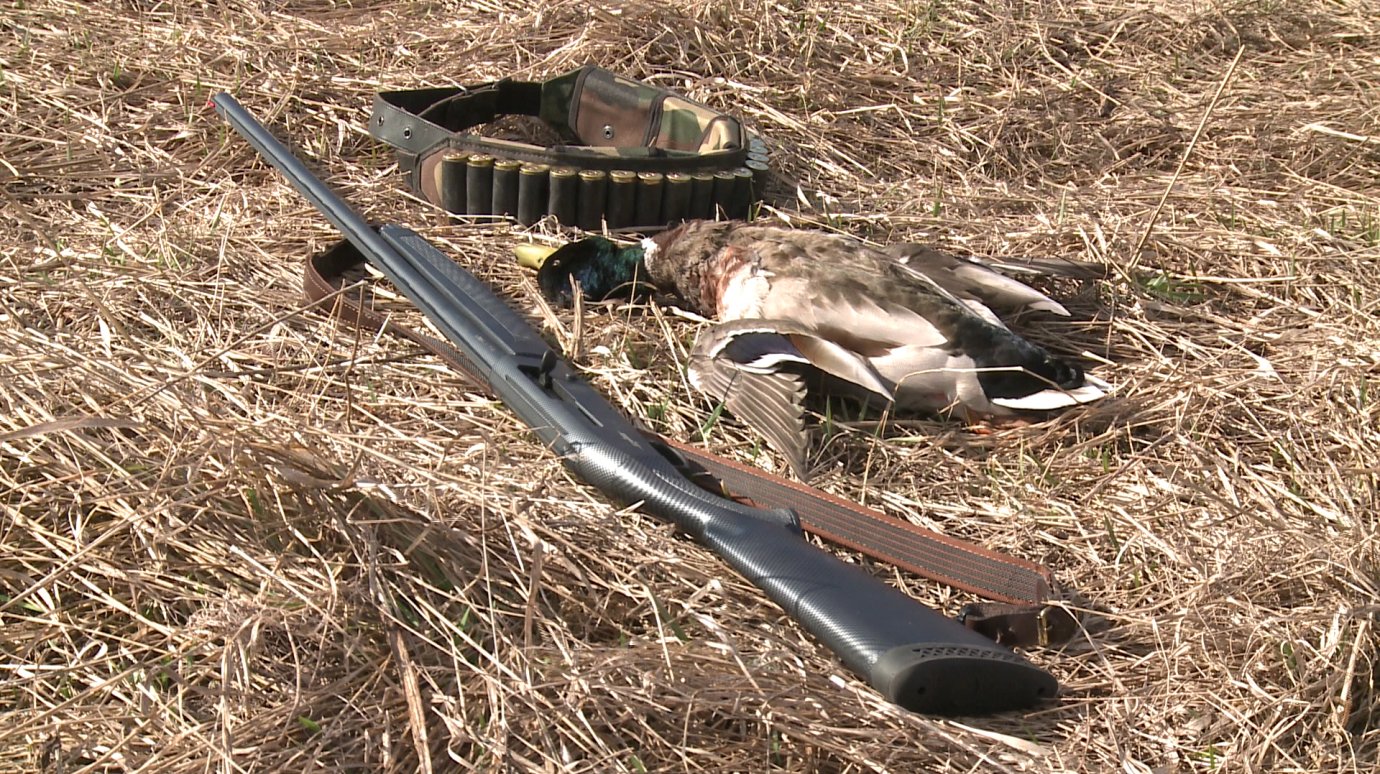 В Лунинском районе охотник случайно застрелил приятеля