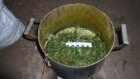 Житель Колышлейского района готовил в погребе гашишное масло
