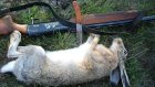 В Мокшанском районе задержаны охотники на зайцев