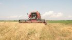 В Пензенской области намолотили более 1,5 млн тонн зерна