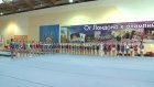 В Пензе стартовало первенство общества «Динамо» по гимнастике