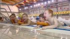 60 юных пензенцев научат плавать бесплатно