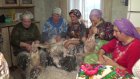 В селе Кикино приступили к традиционному ощипыванию гусей