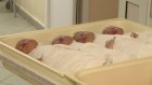 Первый в 2016-м новорожденный в Пензе появился 1 января в 00:05