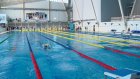 Более 200 пловцов участвуют в областных соревнованиях в Пензе