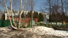 Жители улицы Глазунова возмущены массовой вырубкой деревьев