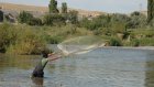В Сердобске осудили двух браконьеров за незаконный вылов рыбы