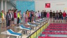 Более 250 пловцов стали участниками областного первенства