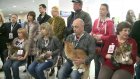 В Пензу привезли более 400 кошек на международную выставку