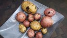 Жителя Белинского района осудили за кражу 30 кг картошки