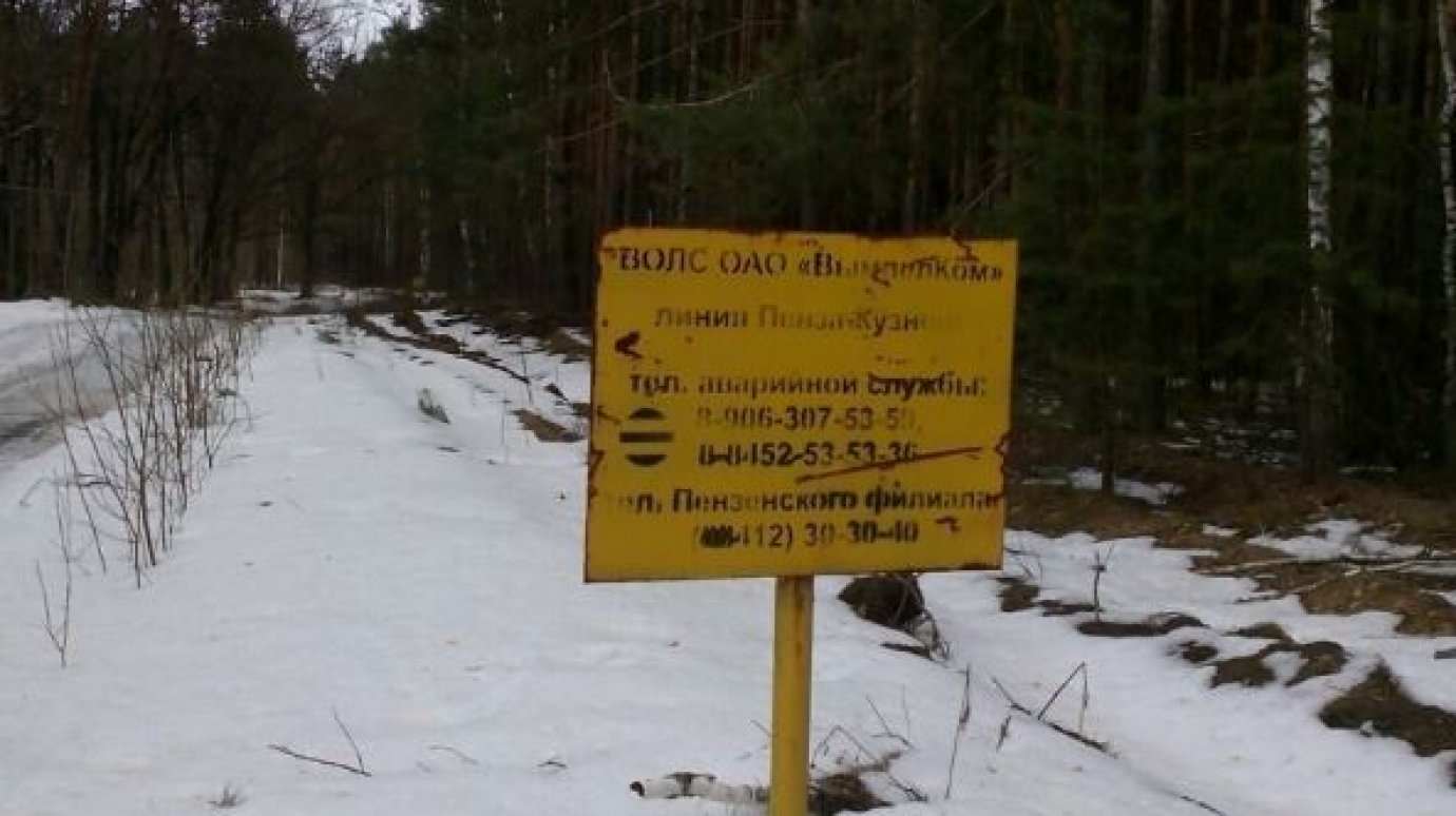 «Билайн» оштрафован на 300 000 рублей за прокладку кабеля по болотам