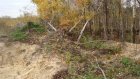 В Никольском районе незаконно разработан карьер и вырублены деревья