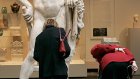 Для статуи Геракла во Франции сделали съемный пенис