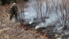 В Городищенском районе потушен природный пожар