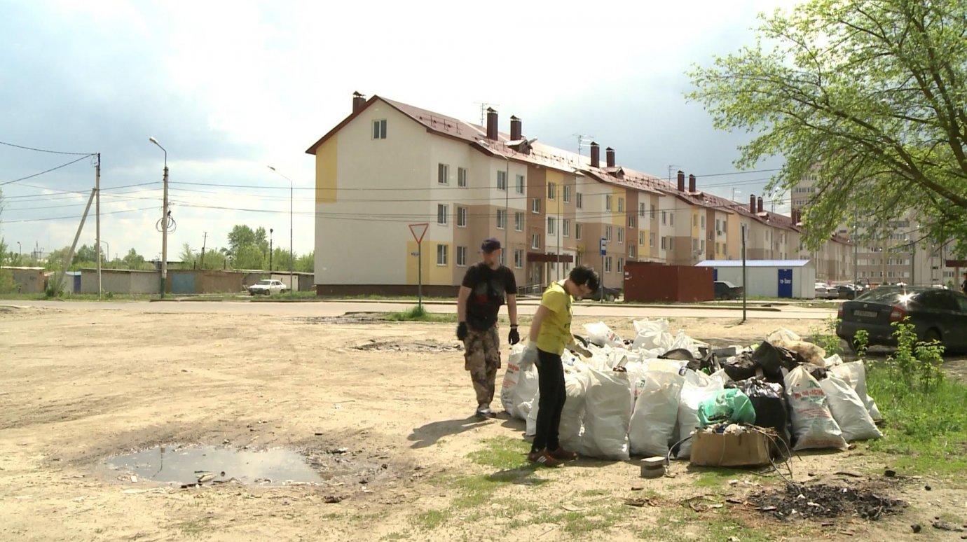 Активисты с улицы Чапаева очистили лесополосу от мусора