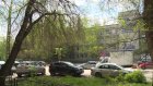 Дерево на улице Циолковского развесило ветки над линией электропередач