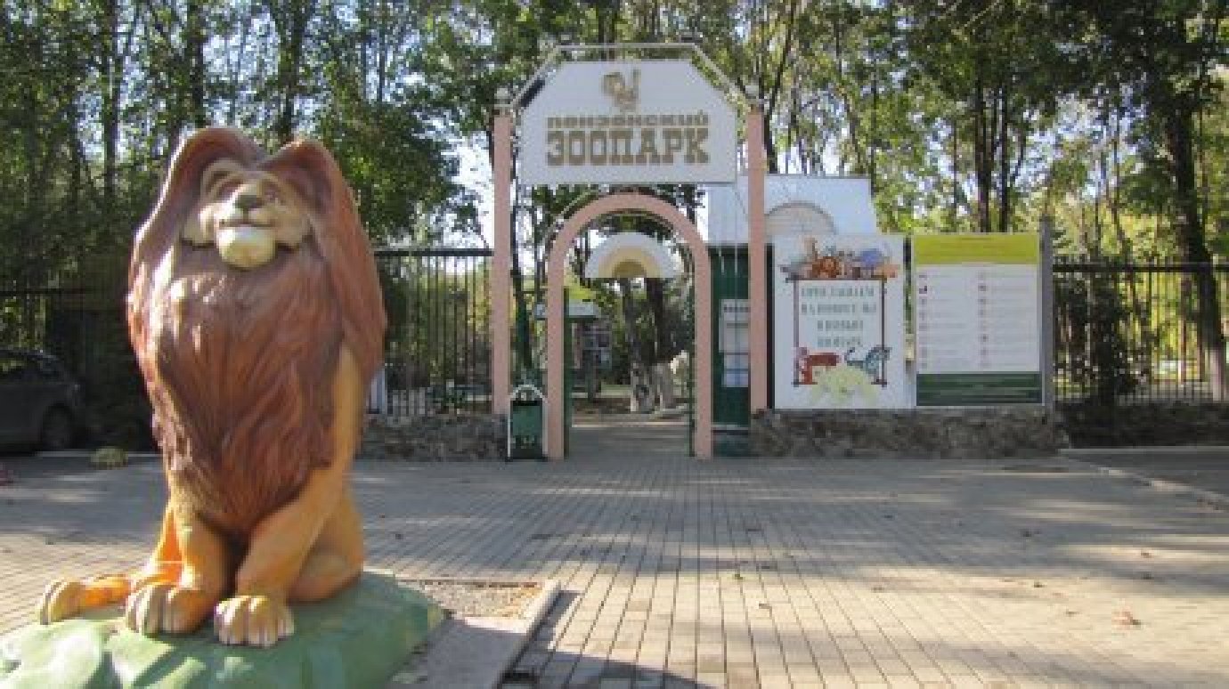 Пензенский зоопарк на праздничные дни изменил режим работы
