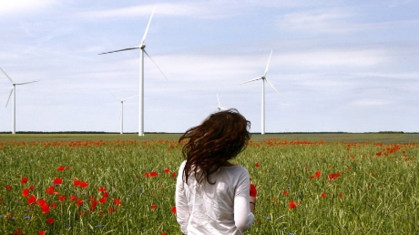 15 июня - день приручения энергии ветра