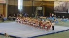 Пензенские гимнасты завоевали три награды на турнире на призы А. Немова