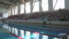900 ребят приехали в Пензу на турнир в рамках лиги плавания «Поволжье»