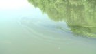 Жители города заметили масляные пятна на поверхности реки Пензы