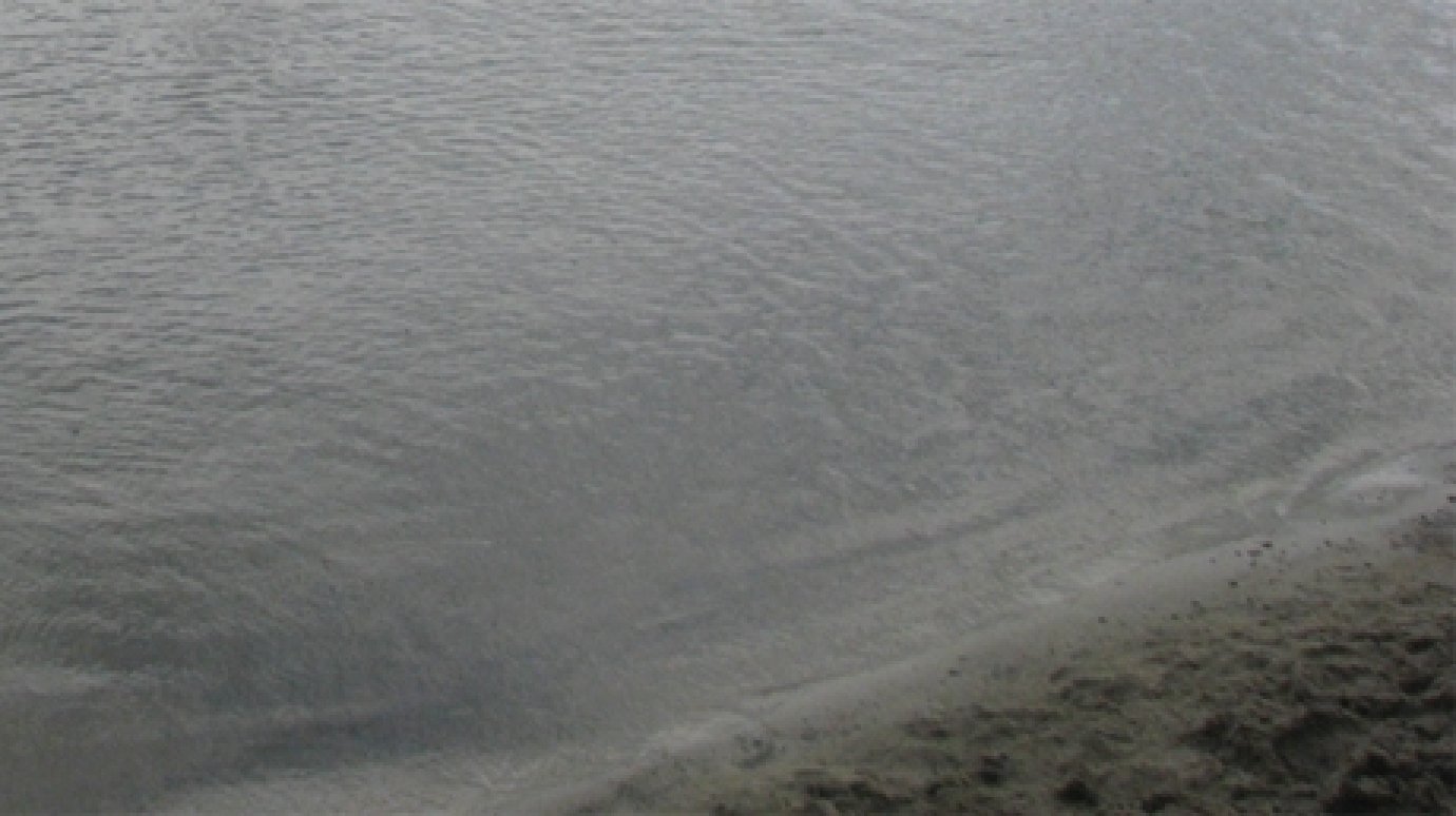 В Кузнецке ликвидируют пруд, в котором утонула семилетняя девочка